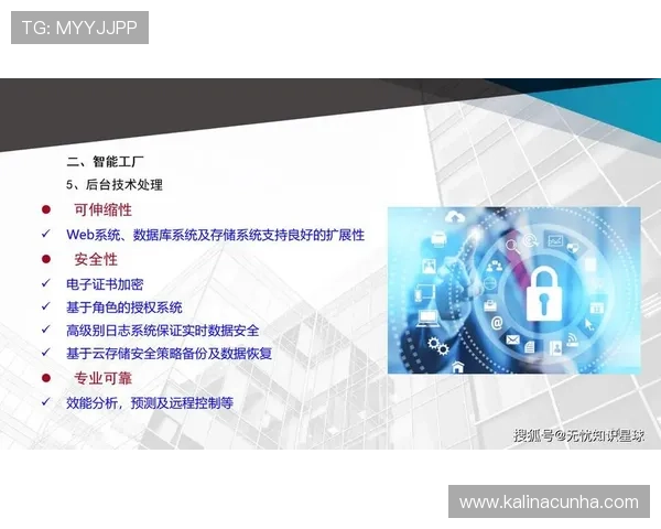 PA电子评级系统的优势与挑战:推动企业数字化信用评级的未来发展
