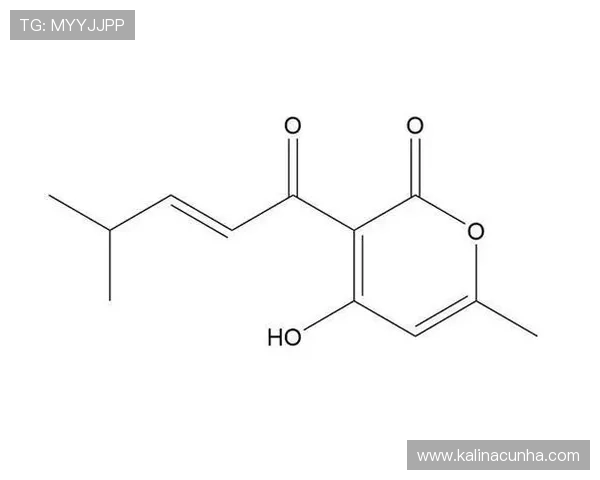 凯发K8世界杯下注用户评价与成功案例分享提升信任感