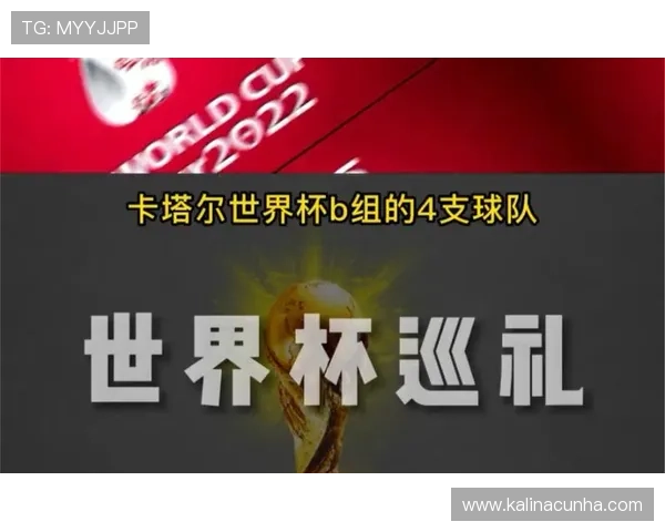 世界杯比利时伊朗比赛场馆的历史背景与未来发展规划深度解析